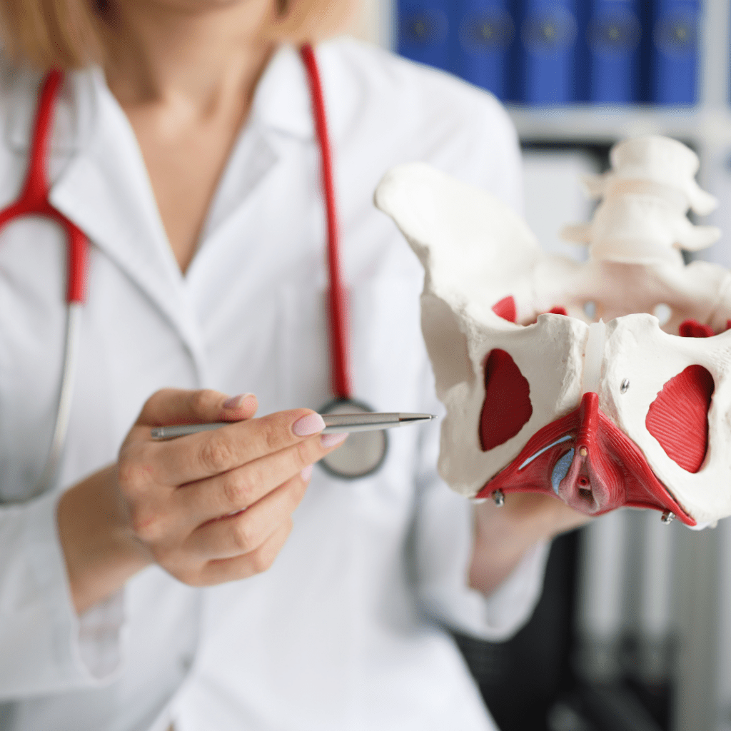 pelvic health roots physical therapy