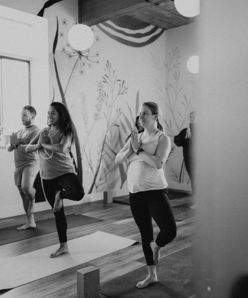 Roots Physical Therapy + Yoga