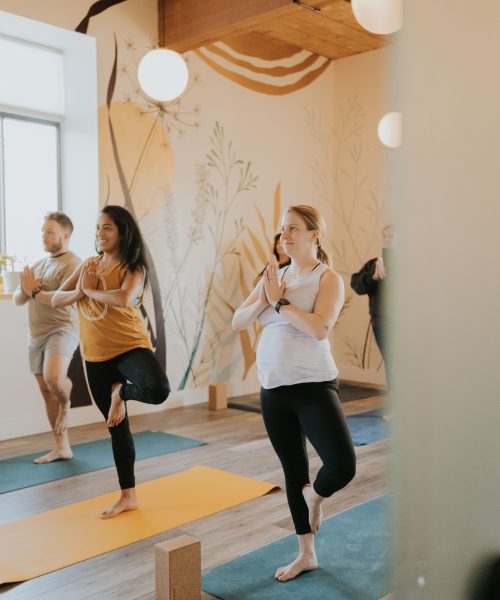 Roots Physical Therapy + Yoga
